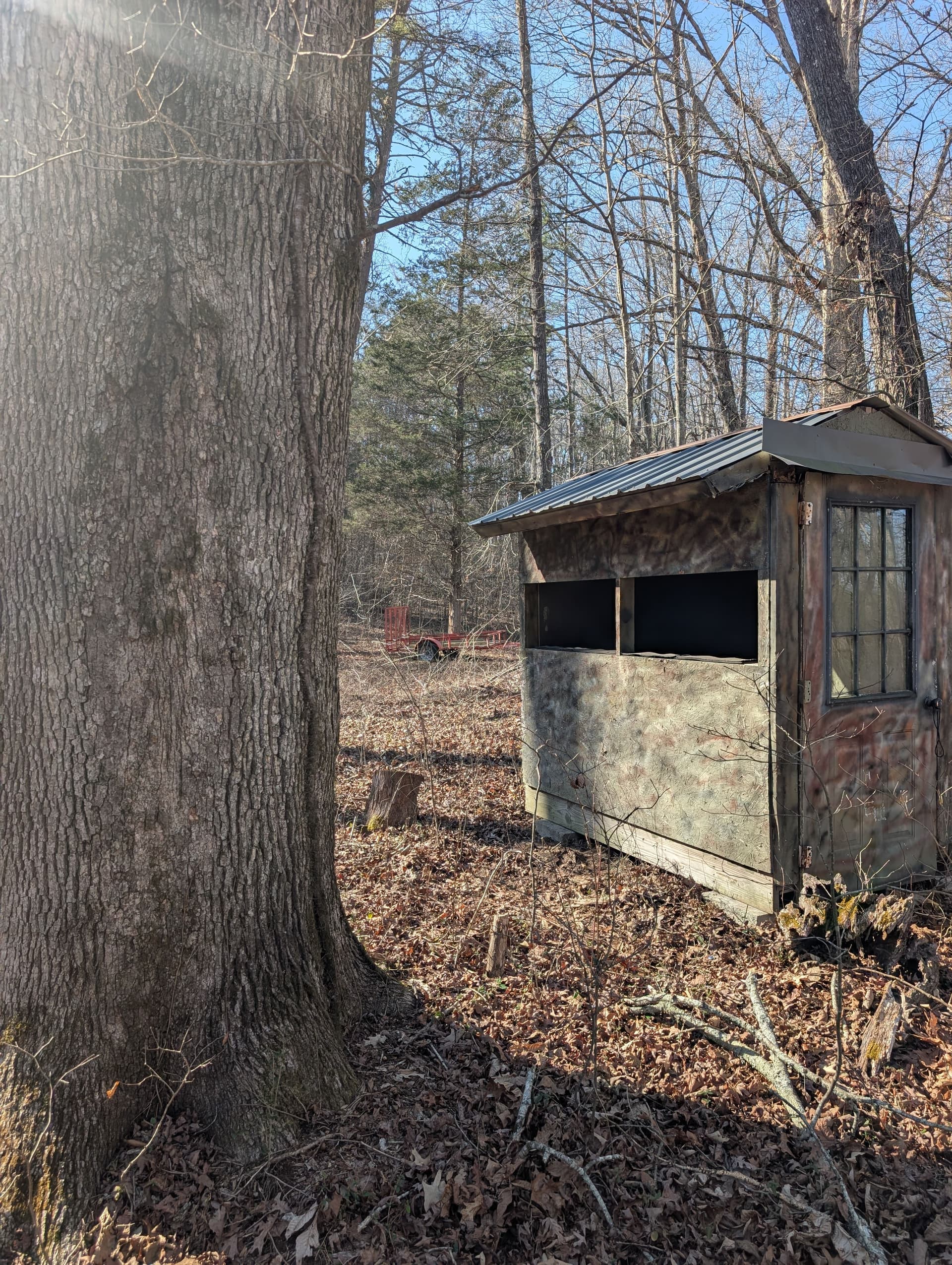 Gallery photos for Seamless Hunting Blind Transport from Dayton to Ringgold: Image #9