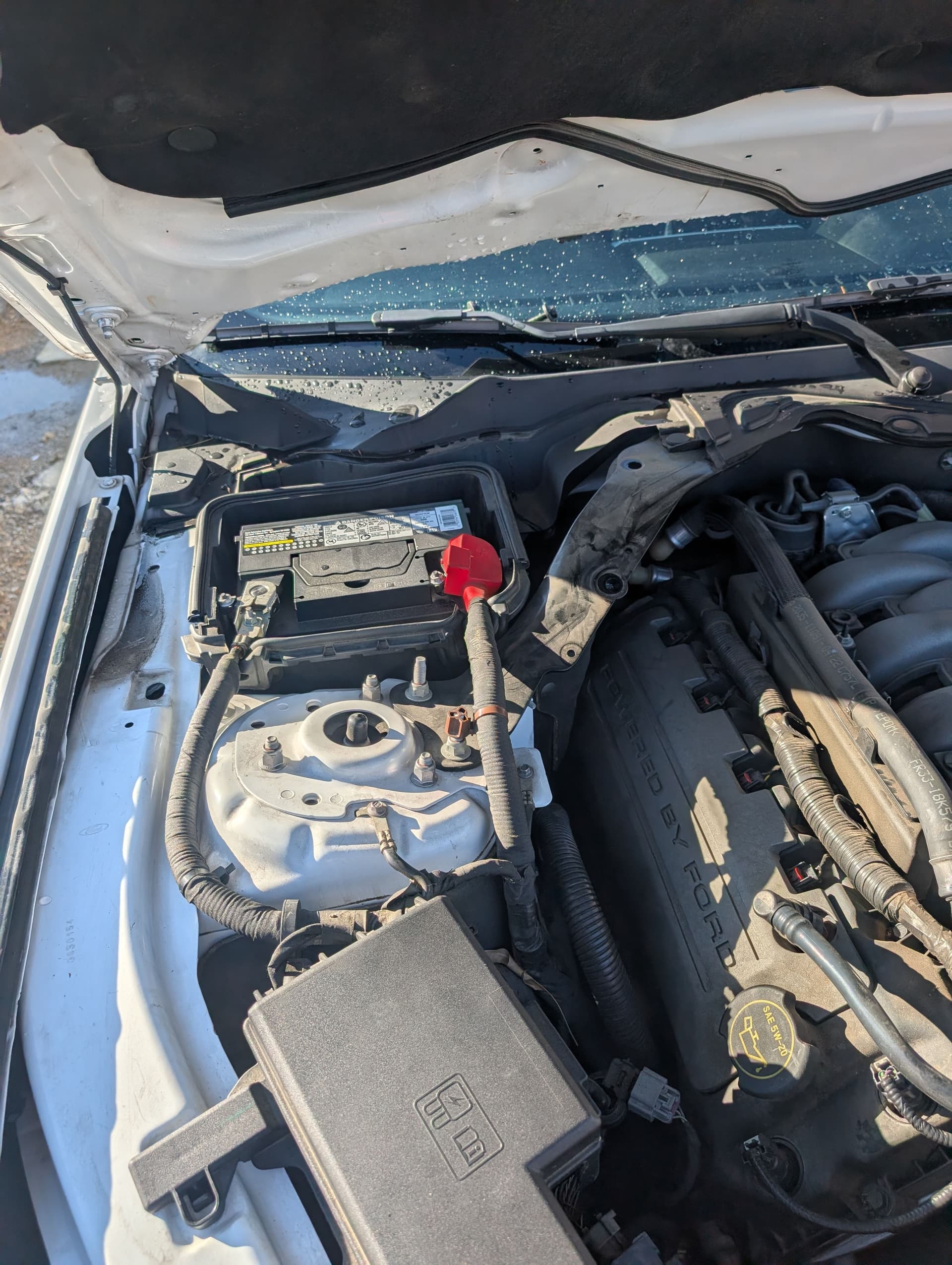 Gallery photos for Mustang Engine Overheating Issue Solved: Image #1