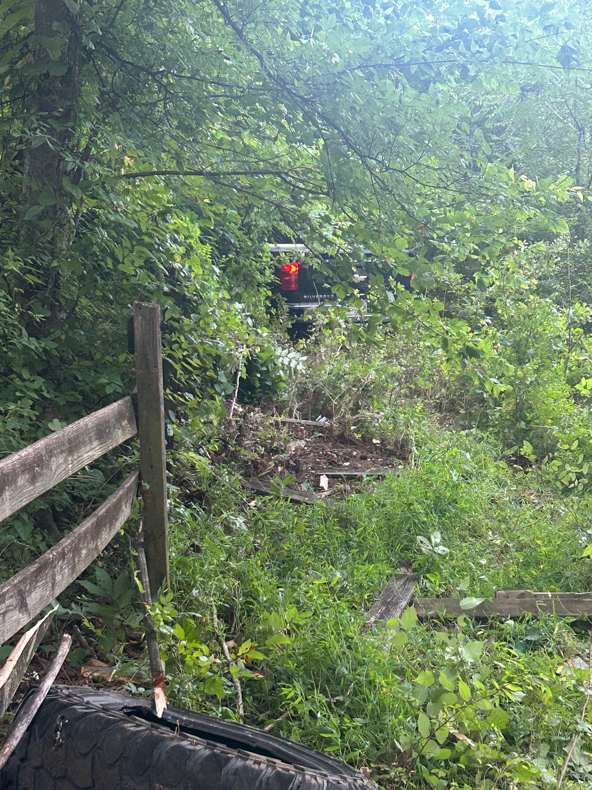 Gallery photos for Chevy Silverado Accident Recovery Deep in the Brush: Image #1