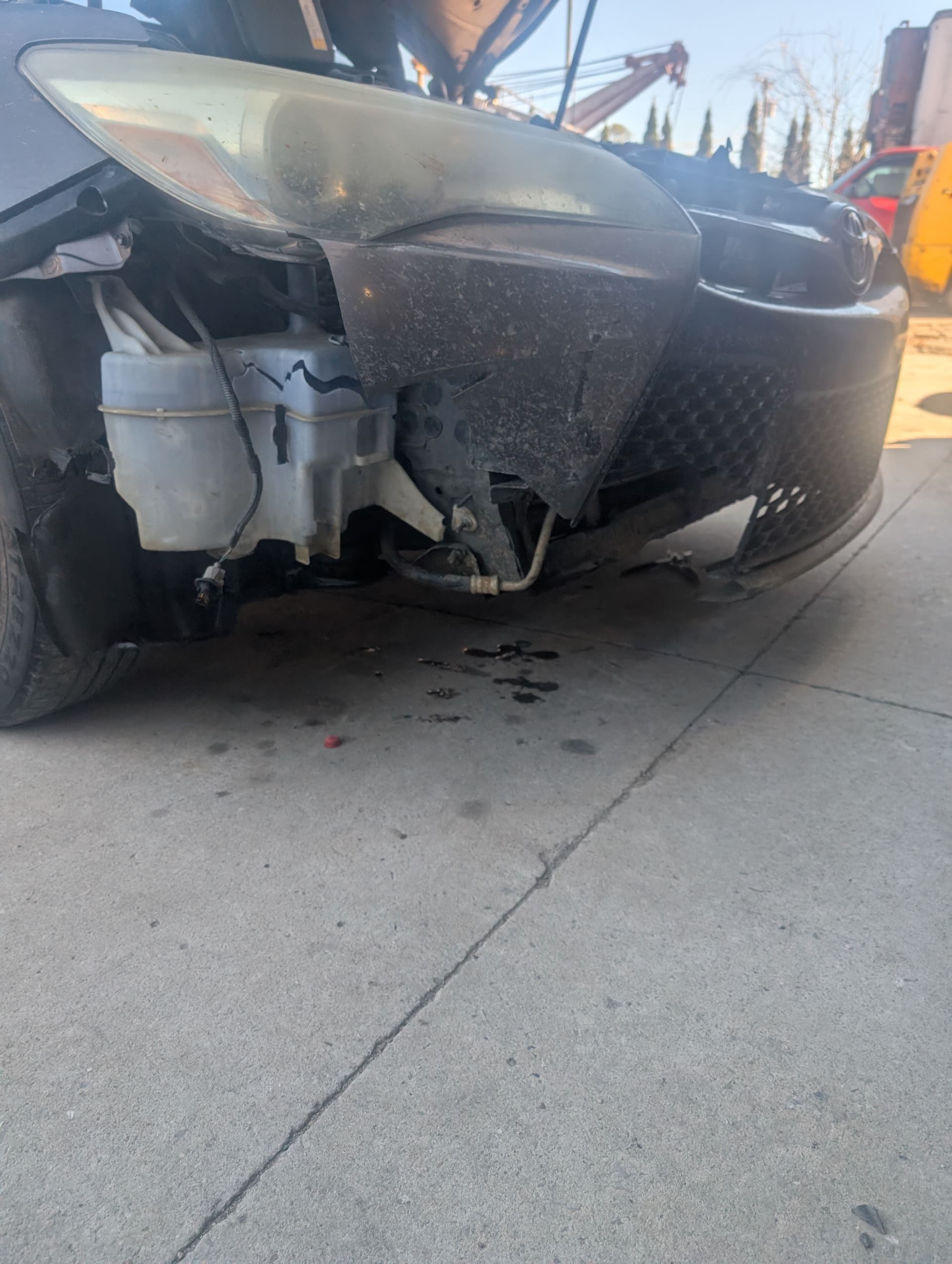 Gallery photos for Toyota Camry Repair After Wildlife Collision: Image #1