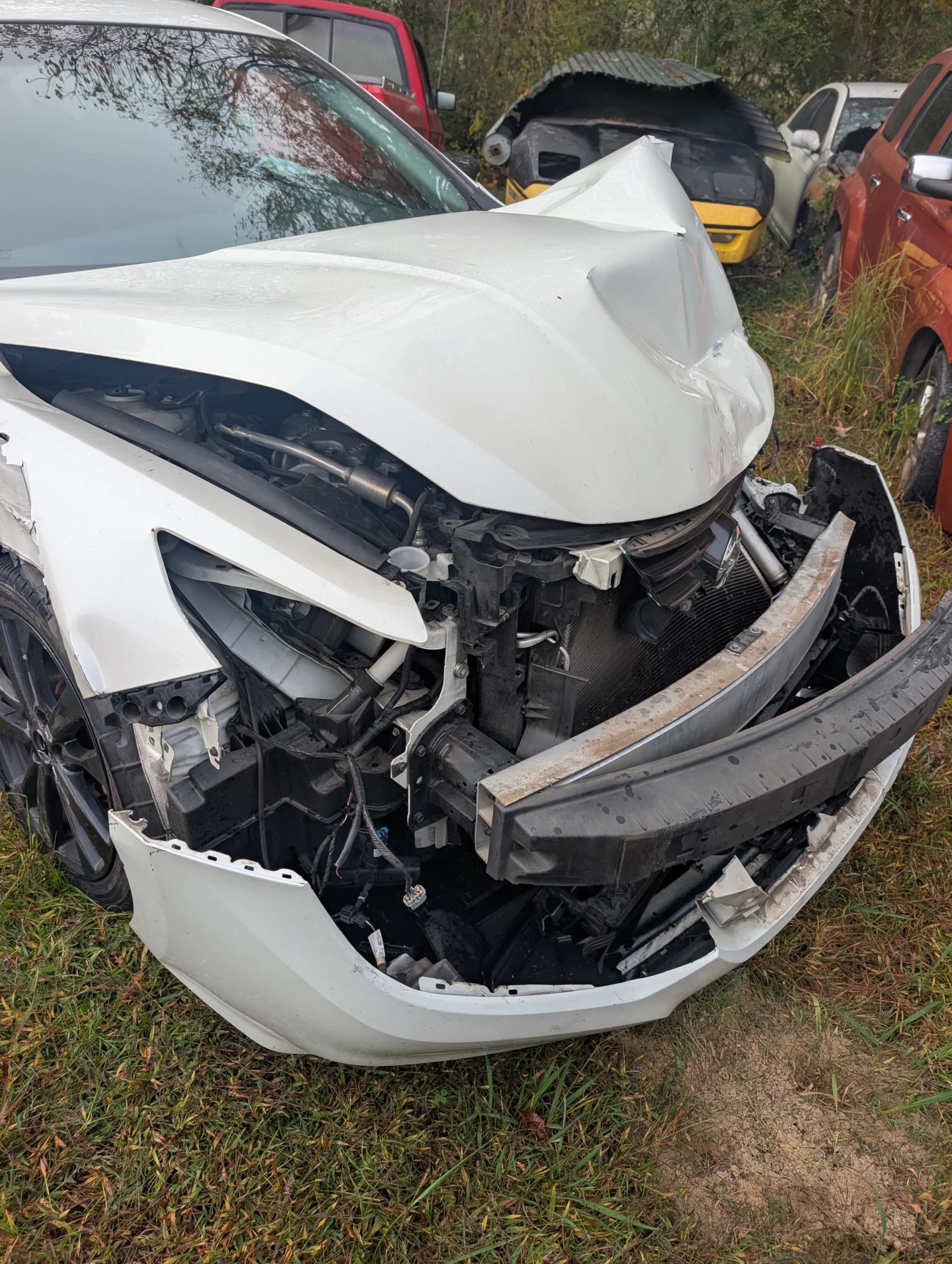 Gallery photos for Morning Fog on I-75 at the GA/TN Line Caused This: Image #4