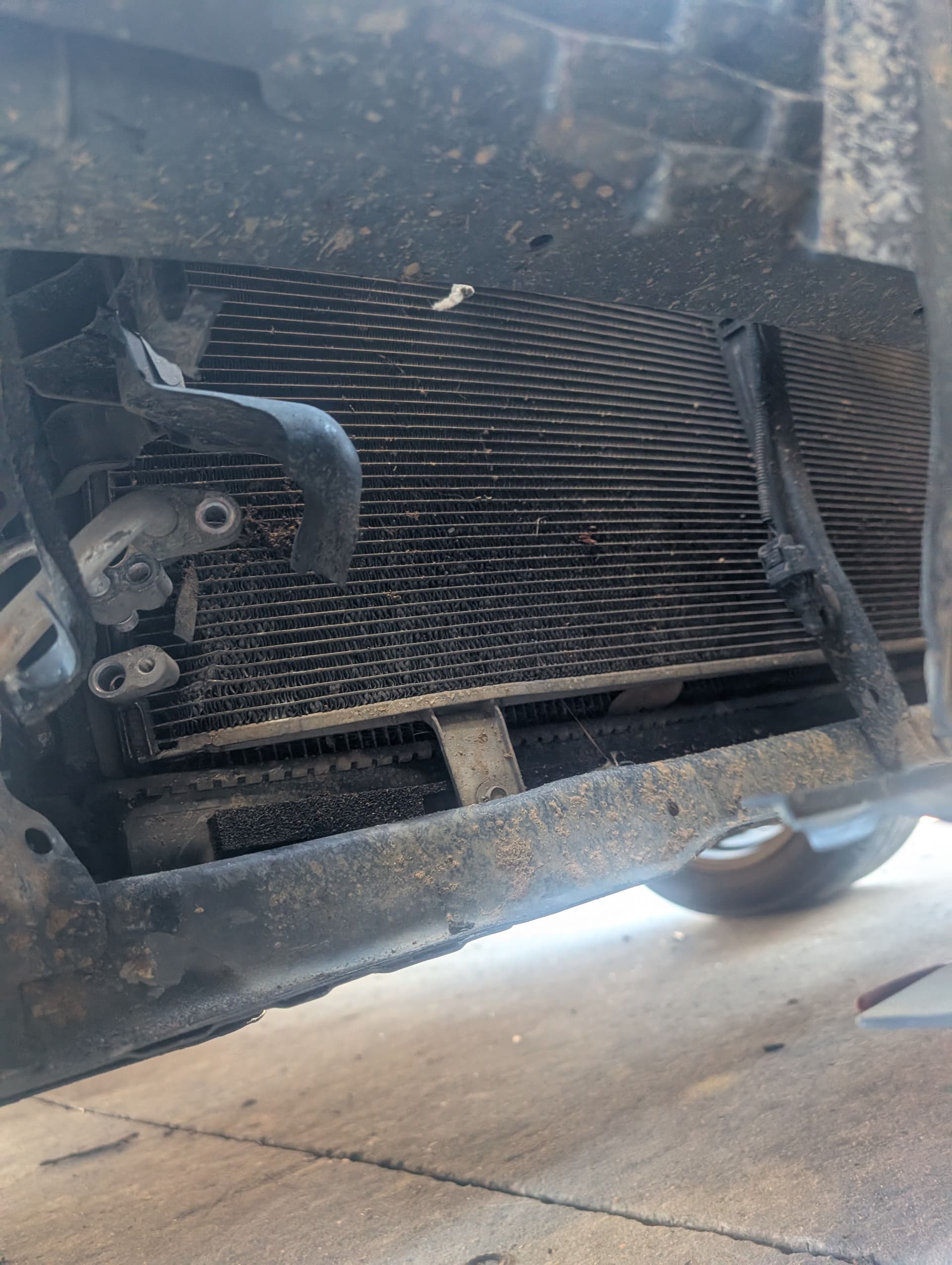 Gallery photos for Toyota Camry Repair After Wildlife Collision: Image #2