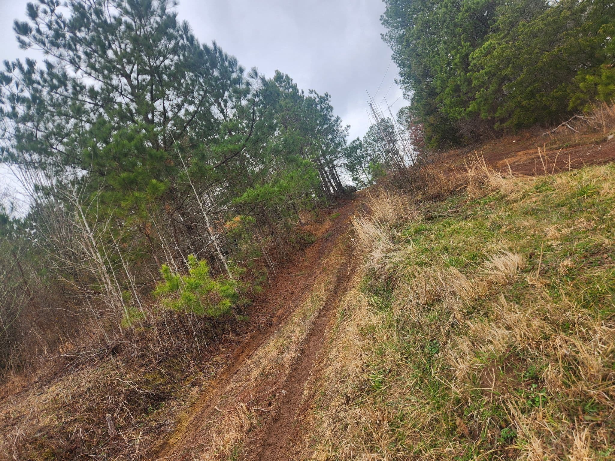 Project Conquering Muddy Challenges with Off Road Towing Expertise image