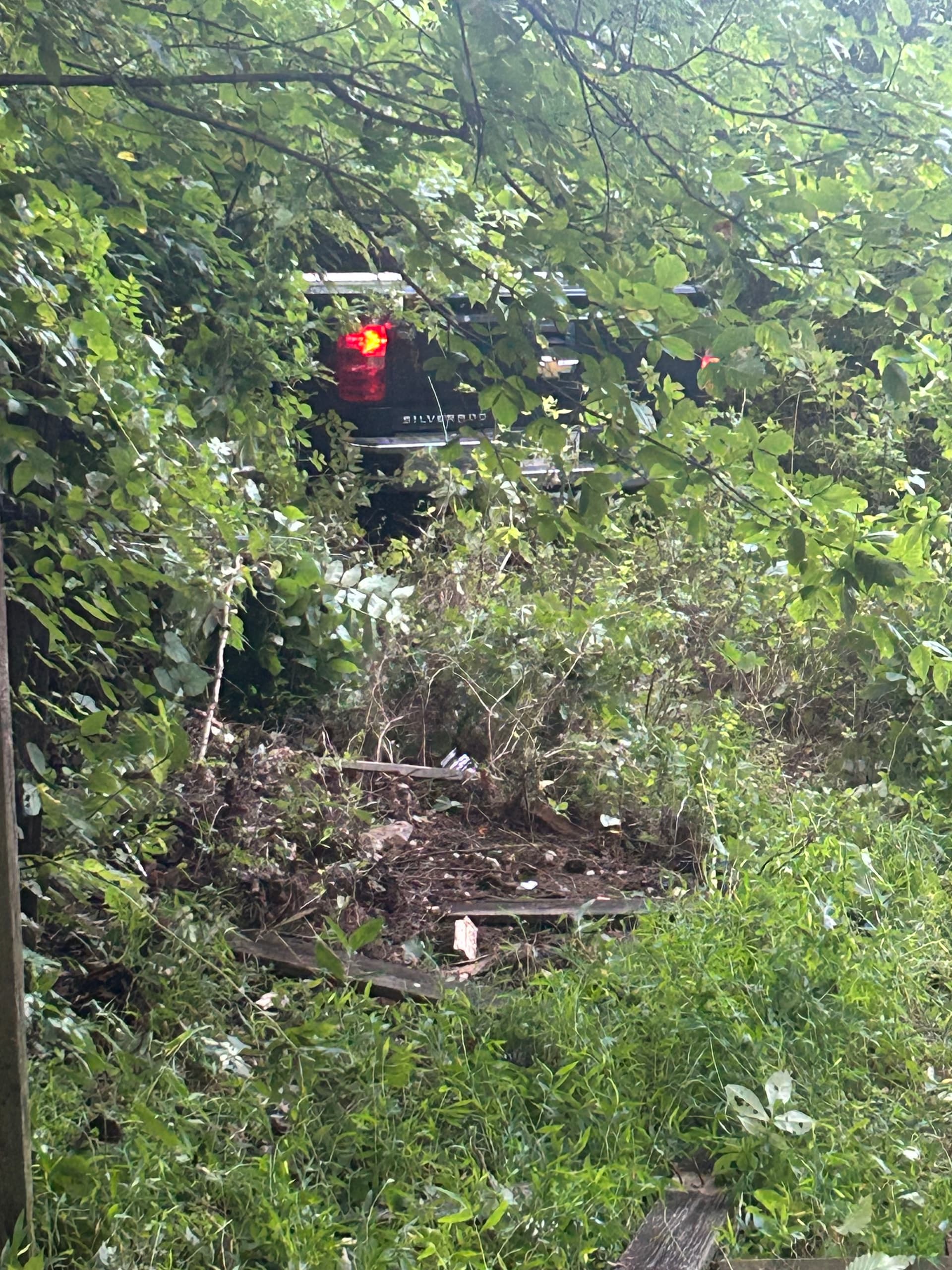 Chevy Silverado Accident Recovery Deep in the Brush image