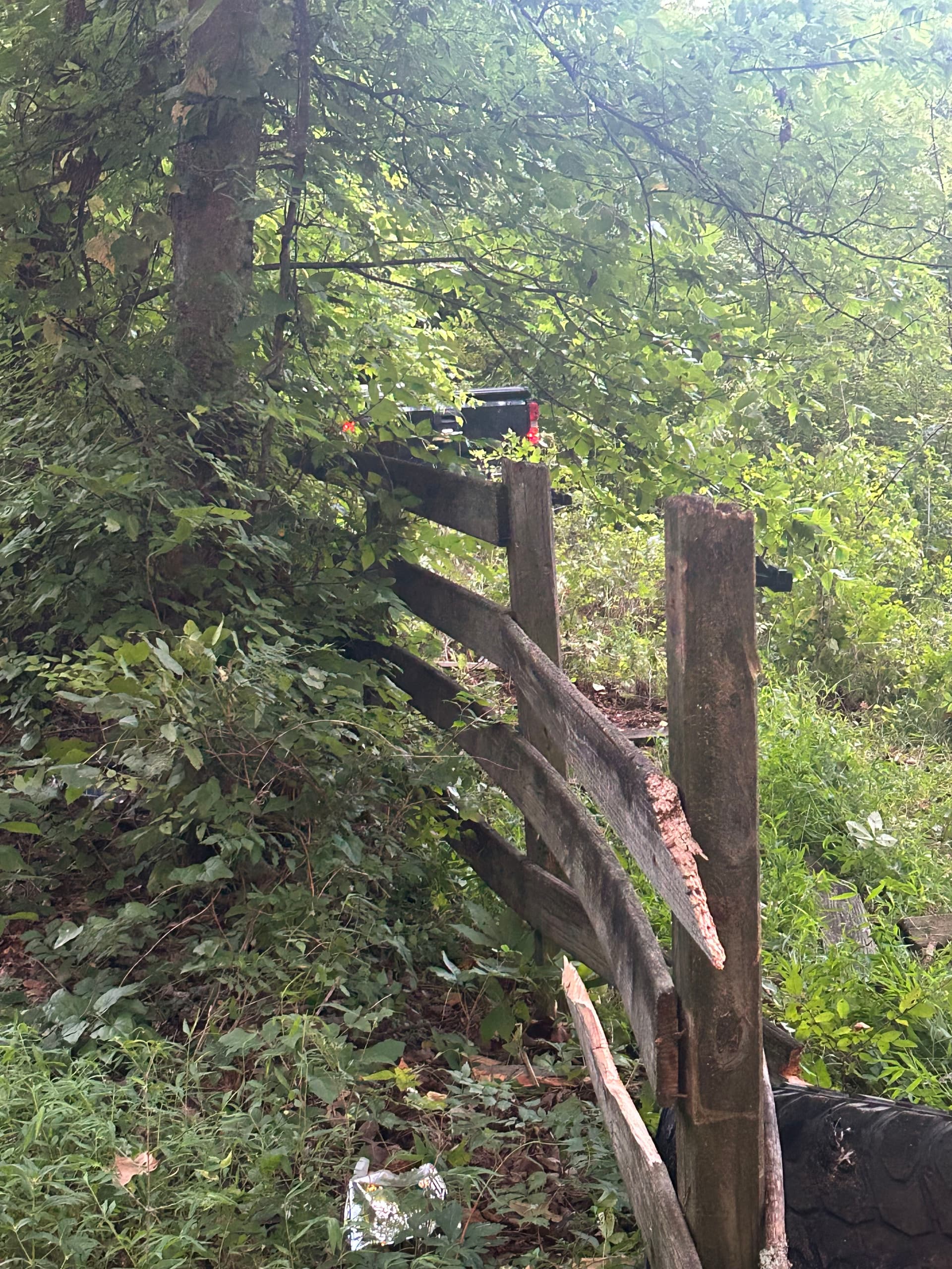 Gallery photos for Chevy Silverado Accident Recovery Deep in the Brush: Image #4
