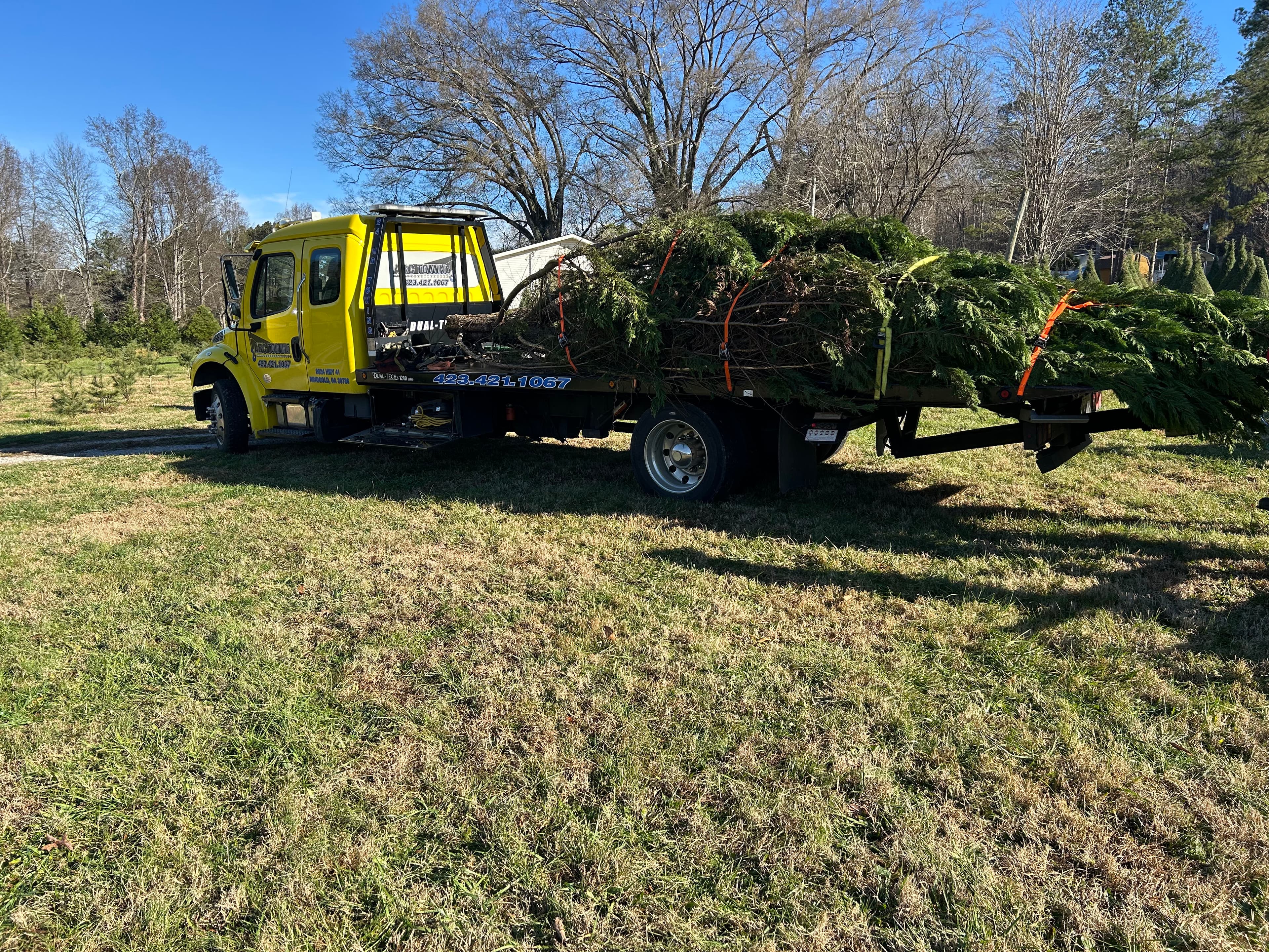 Project Massive Christmas Tree Transport from Kittle Tree Farm to Hixson image