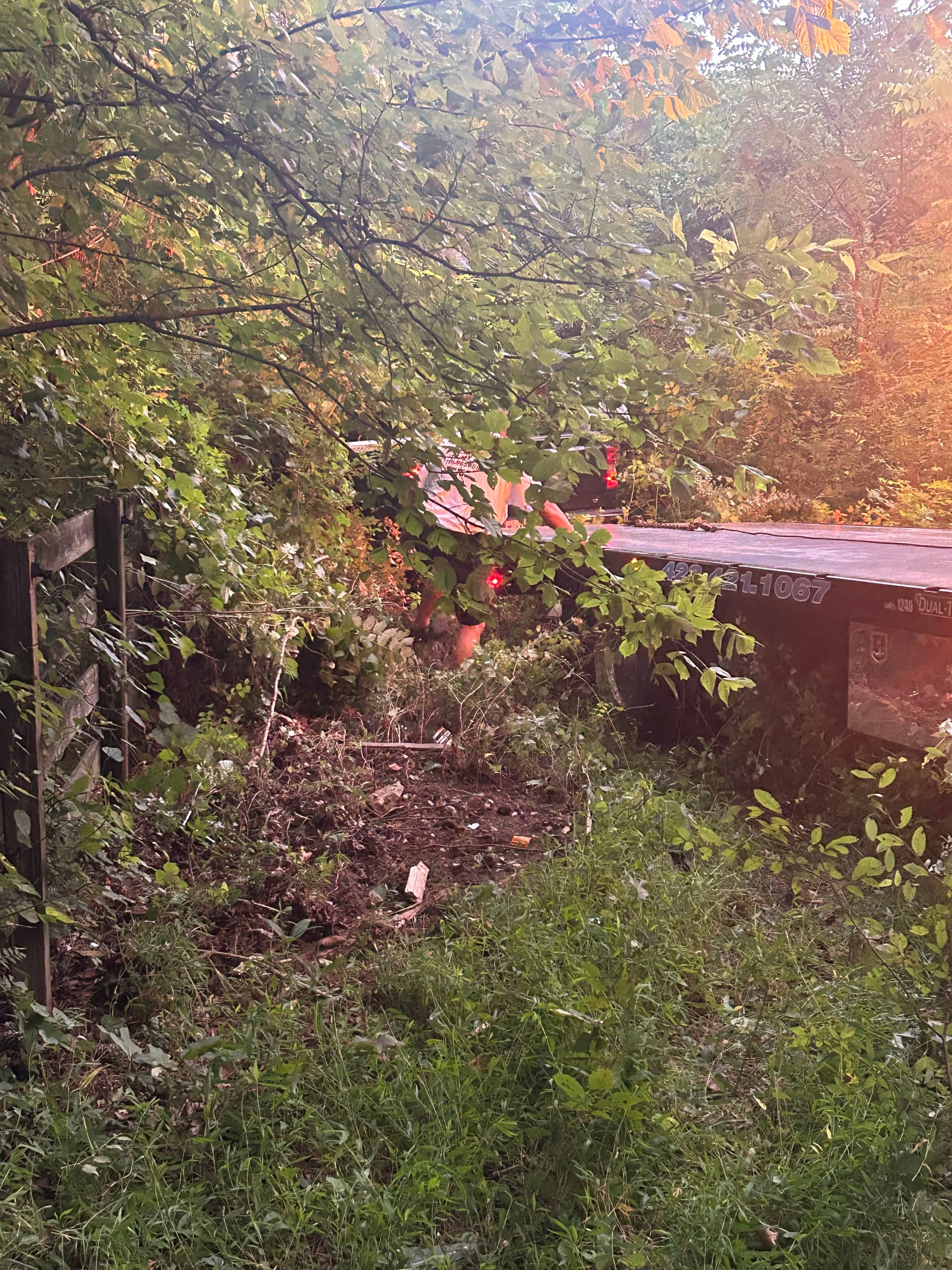 Gallery photos for Chevy Silverado Accident Recovery Deep in the Brush: Image #6
