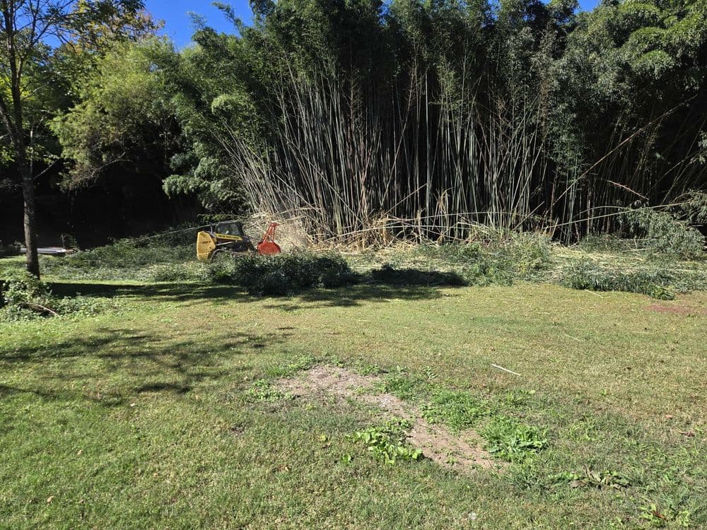 Equipment Hauling image