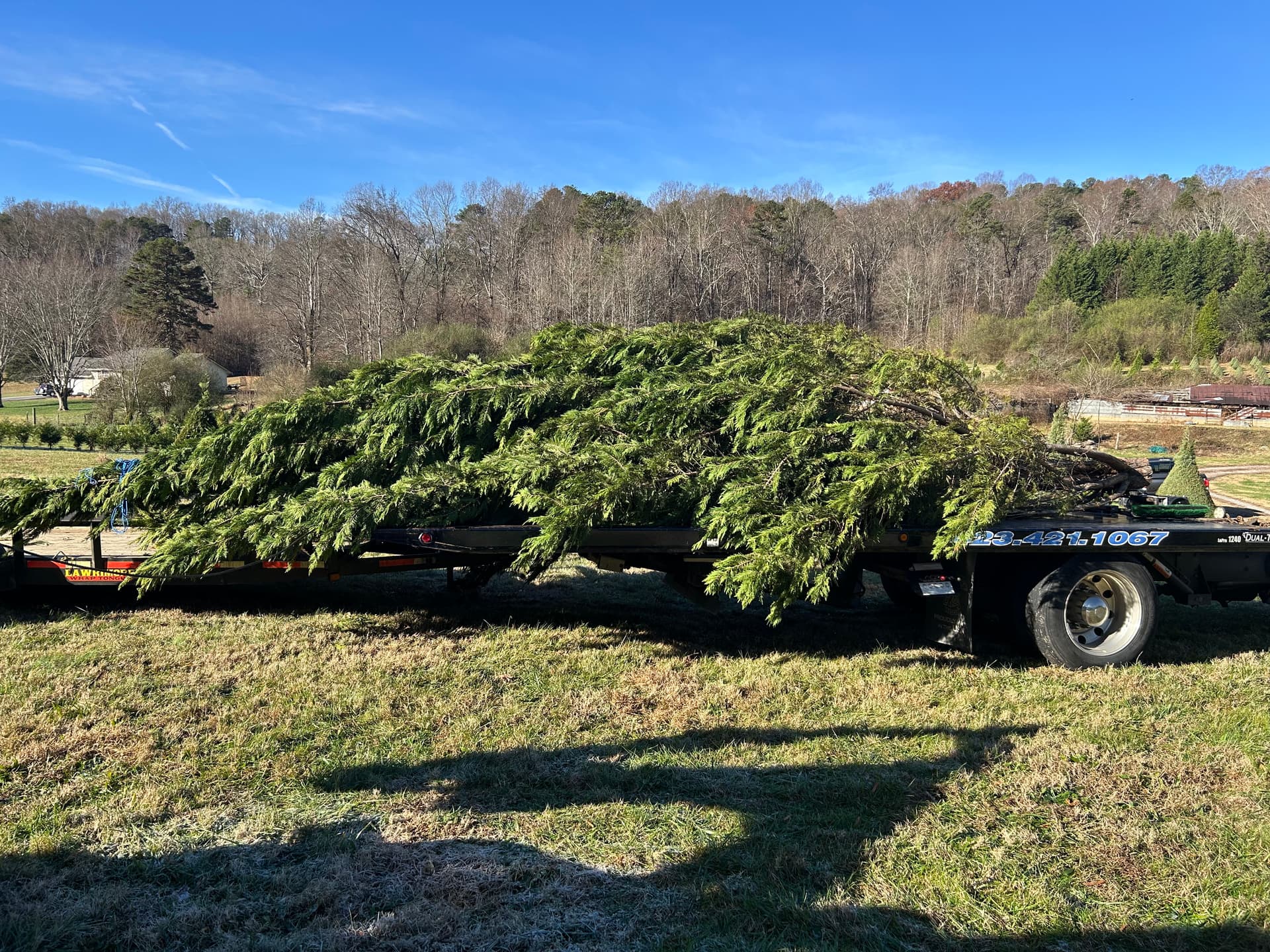 Gallery photos for Massive Christmas Tree Transport from Kittle Tree Farm to Hixson: Image #3