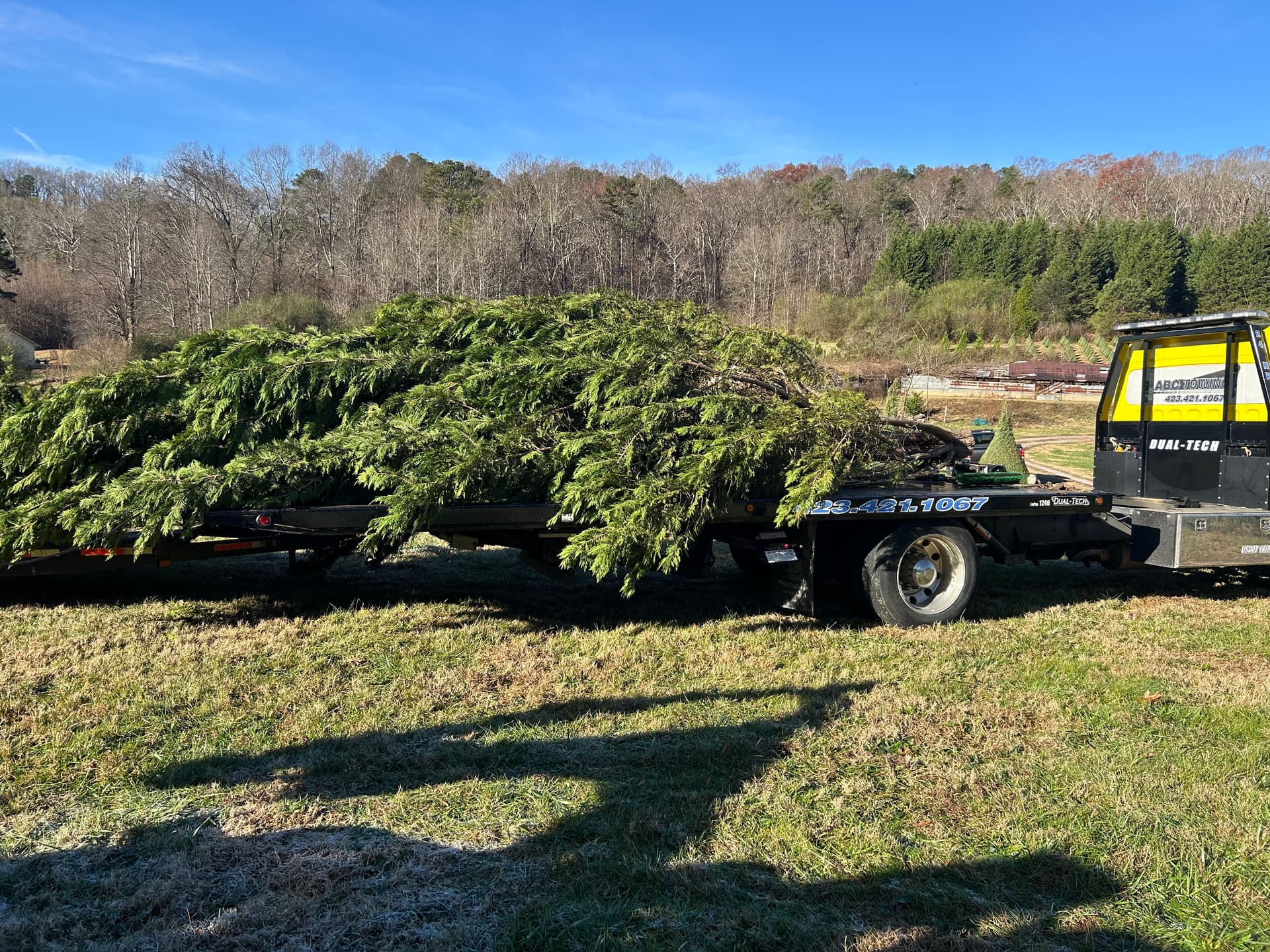 Gallery photos for Massive Christmas Tree Transport from Kittle Tree Farm to Hixson: Image #4