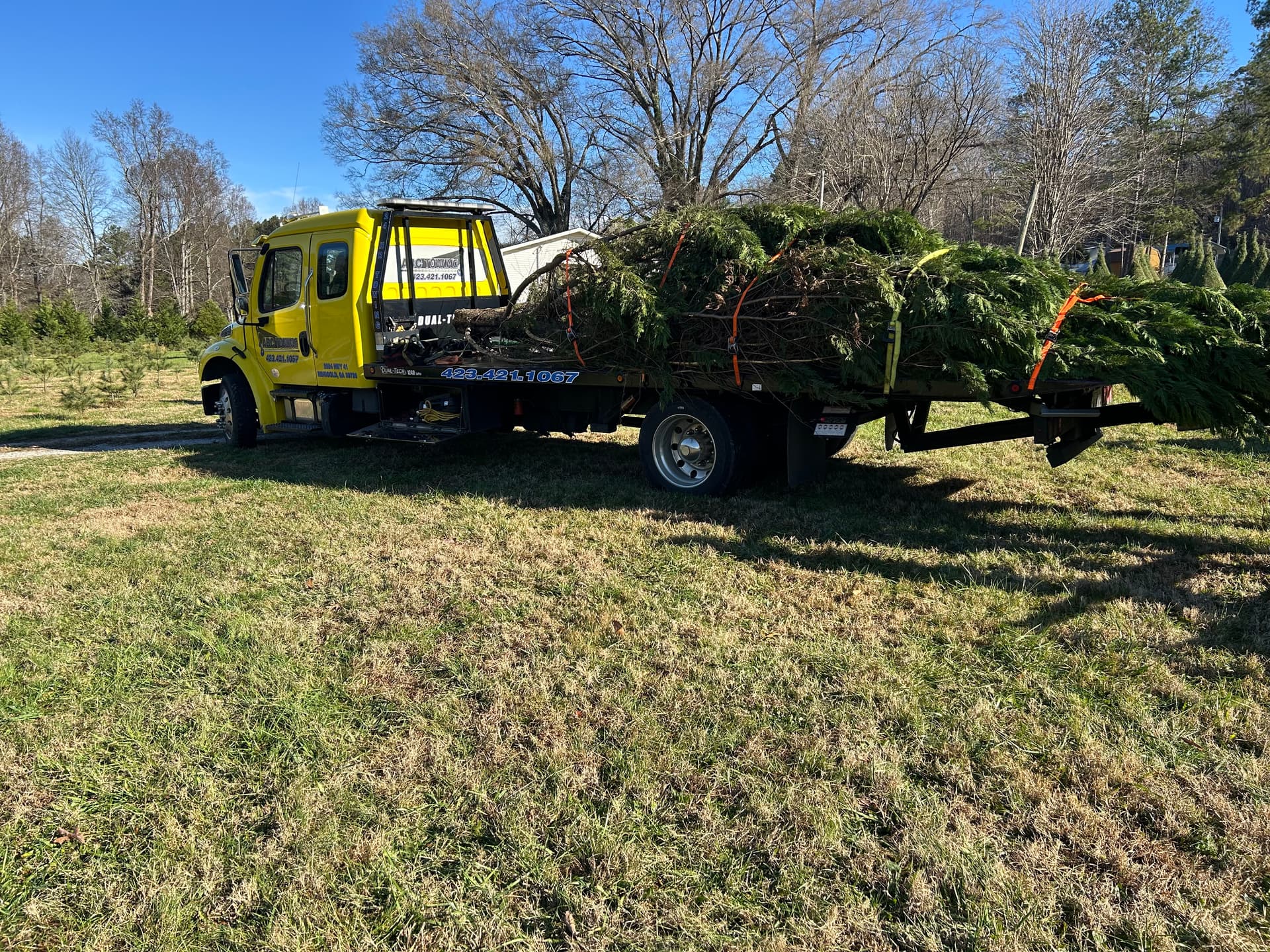 Gallery photos for Massive Christmas Tree Transport from Kittle Tree Farm to Hixson: Image #1