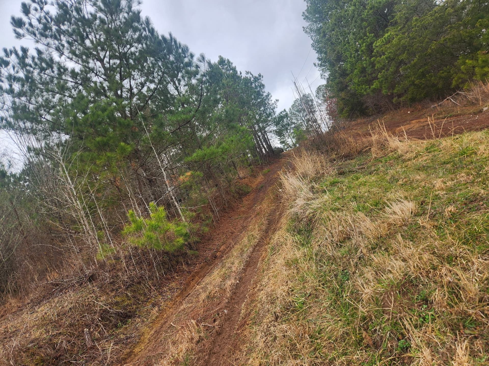 Conquering Muddy Challenges with Off Road Towing Expertise image