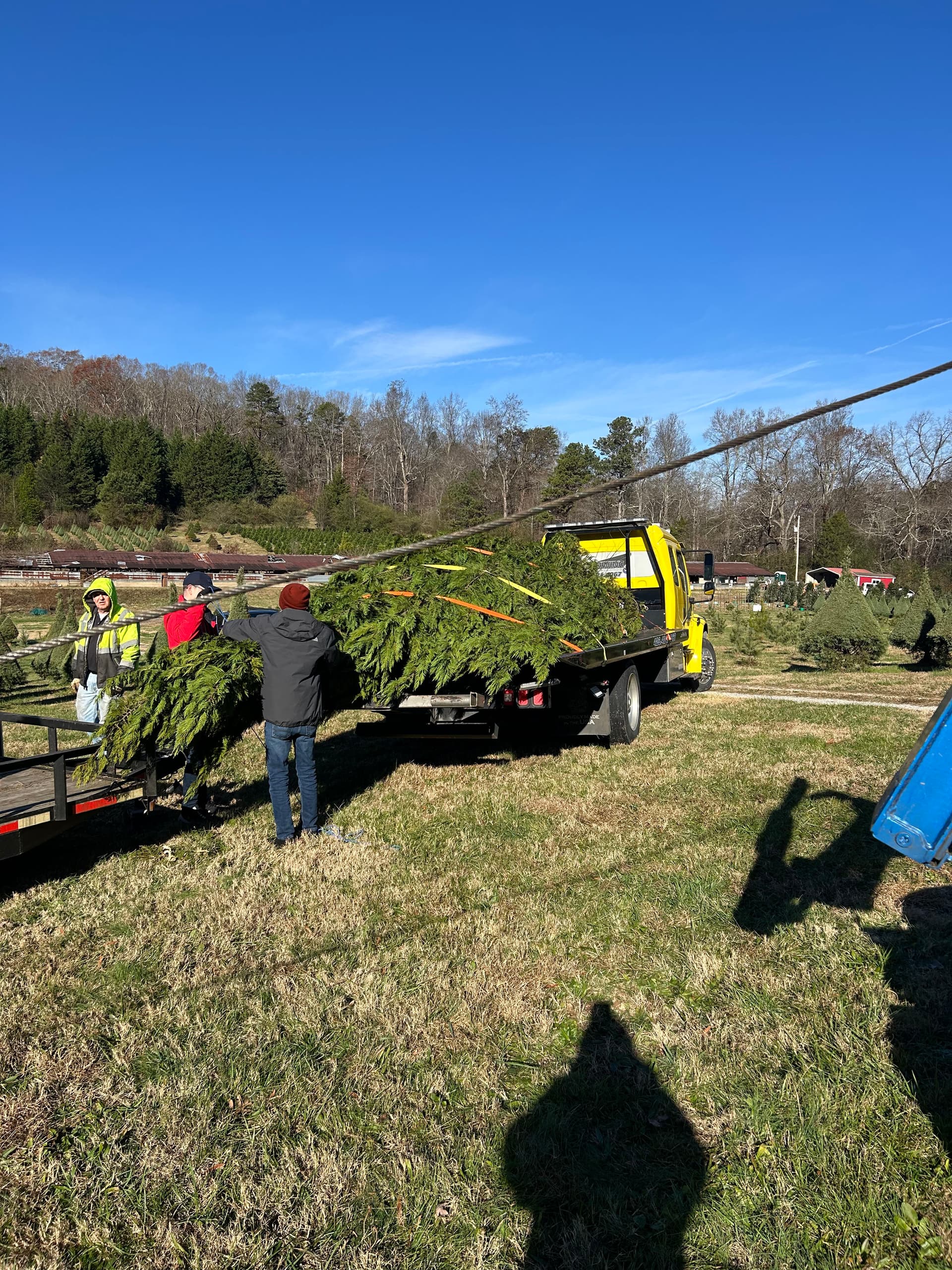 Gallery photos for Massive Christmas Tree Transport from Kittle Tree Farm to Hixson: Image #2